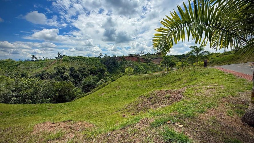 Lote en venta en Cerritos, Pereira · foto 8 de 9