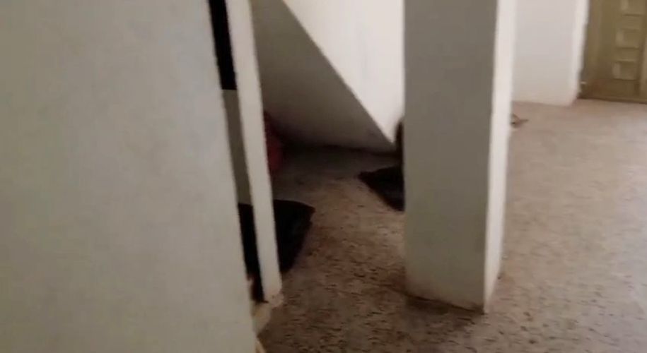 Casa de 8 alcobas en venta en Cerro El Diamante, Bogotá, 216 m² · foto 8 de 13