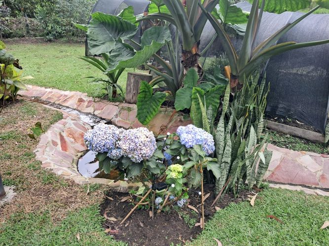 Casa de 3 alcobas en venta en Mesa De Los Santos, Piedecuesta, 1250 m² · foto 23 de 24