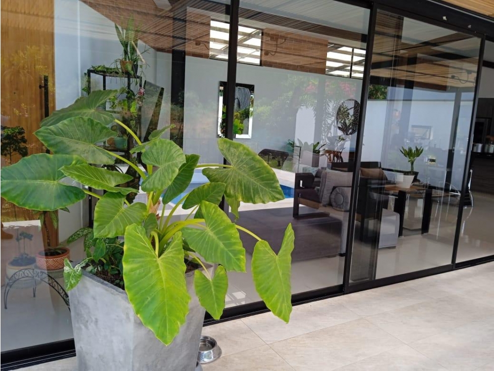 Casa en venta en Morelia, Pereira · foto 14 de 15
