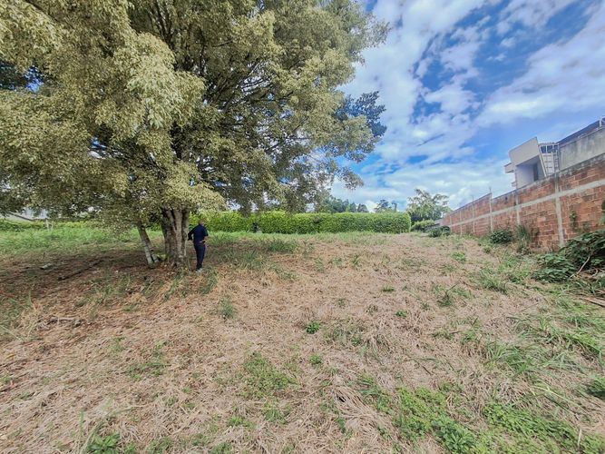 Lote en venta en Armenia, 2600 m² · foto 19 de 24