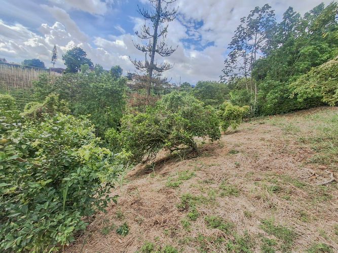 Lote en venta en Armenia, 2600 m² · foto 24 de 24