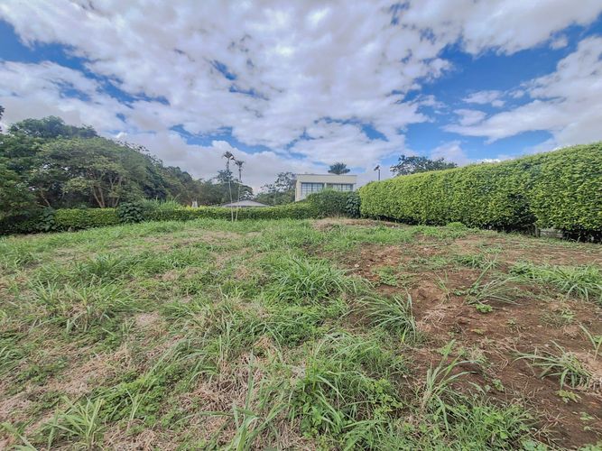 Lote en venta en Armenia, 2600 m² · foto 21 de 24