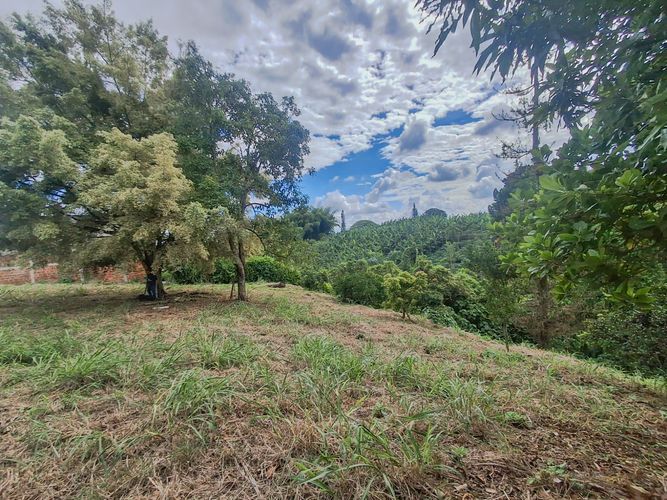 Lote en venta en Armenia, 2600 m² · foto 23 de 24