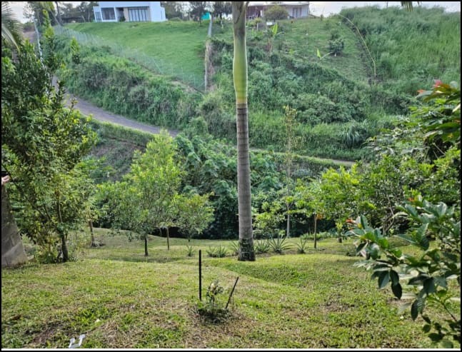 Casa en venta en Combia, Pereira · foto 5 de 14