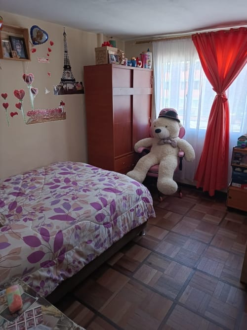Casa en venta en Pio Xii, Bogotá · foto 12 de 24
