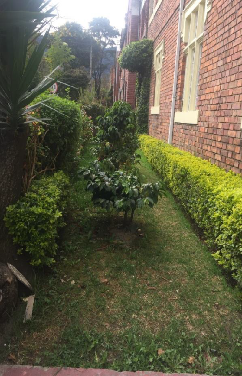 Casa en venta en Quinta Camacho, Bogotá · foto 4 de 9