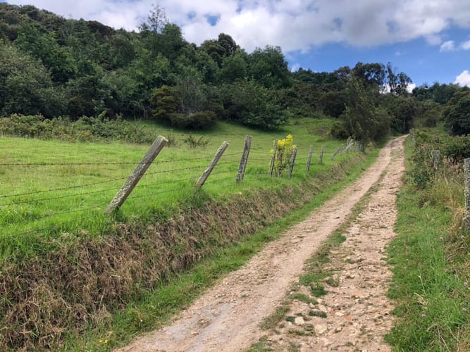 Lote en venta en Centro, La Calera, 15600 m² · foto 4 de 16