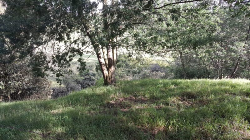 Lote en venta en Centro, La Calera, 15600 m² · foto 5 de 16