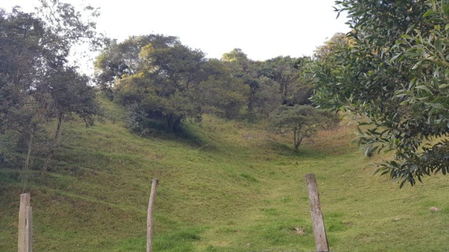 Lote en venta en Centro, La Calera, 15600 m² · foto 6 de 16