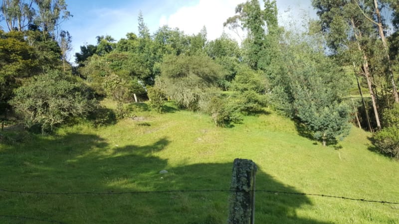 Lote en venta en Centro, La Calera, 15600 m² · foto 7 de 16