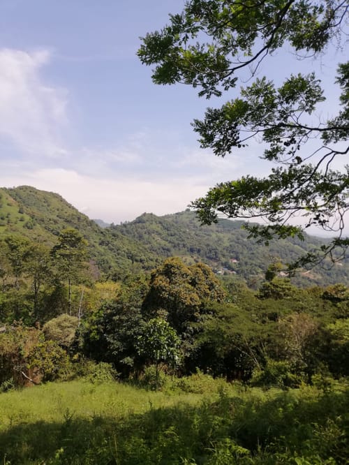 Lote en venta en Centro, La Calera, 15600 m² · foto 8 de 16