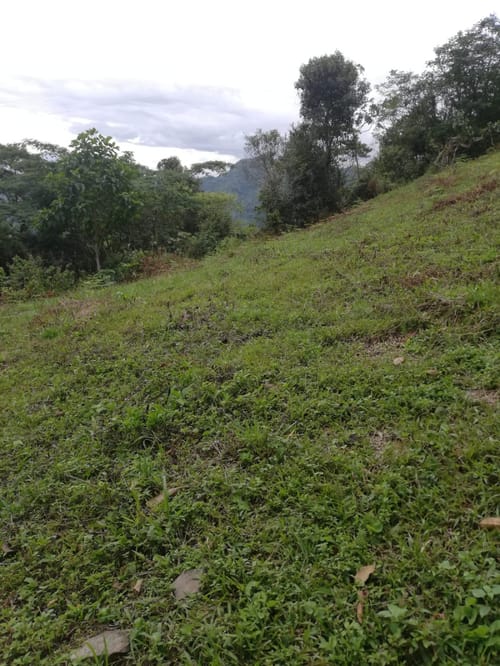 Lote en venta en Centro, La Calera, 15600 m² · foto 9 de 16