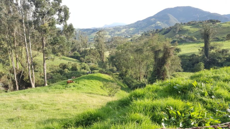 Lote en venta en Centro, La Calera, 15600 m² · foto 10 de 16