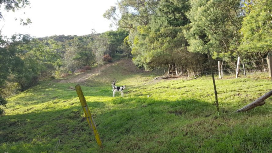 Lote en venta en Centro, La Calera, 15600 m² · foto 13 de 16