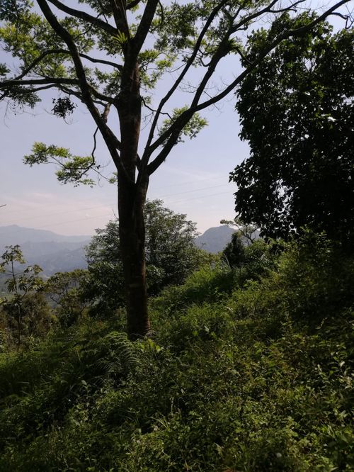 Lote en venta en Centro, La Calera, 15600 m² · foto 15 de 16