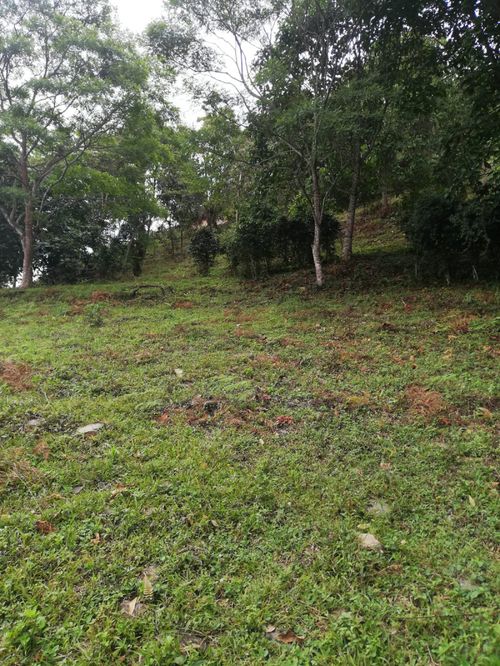 Lote en venta en Centro, La Calera, 15600 m² · foto 16 de 16