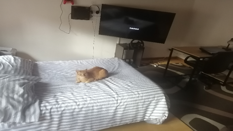 Apartamento en venta en Pasadena, Bogotá · foto 14 de 18
