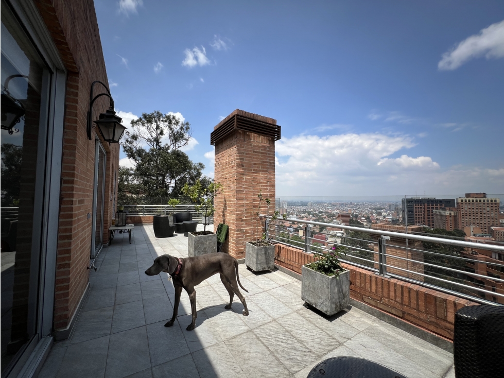 Apartamento en venta en Los Rosales, Bogotá · foto 18 de 24