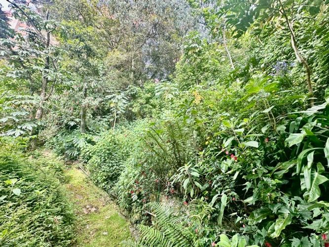 Casa de 3 alcobas en venta en Los Rosales, Bogotá, 483 m² · foto 14 de 15