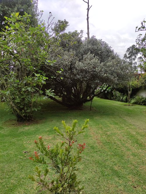Casa en venta en Guaymaral, Bogotá · foto 14 de 19