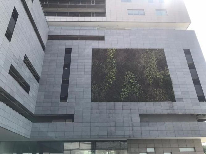 Local en arriendo en Ciudad Mallorquin, Barranquilla, 180 m² · foto 15 de 24