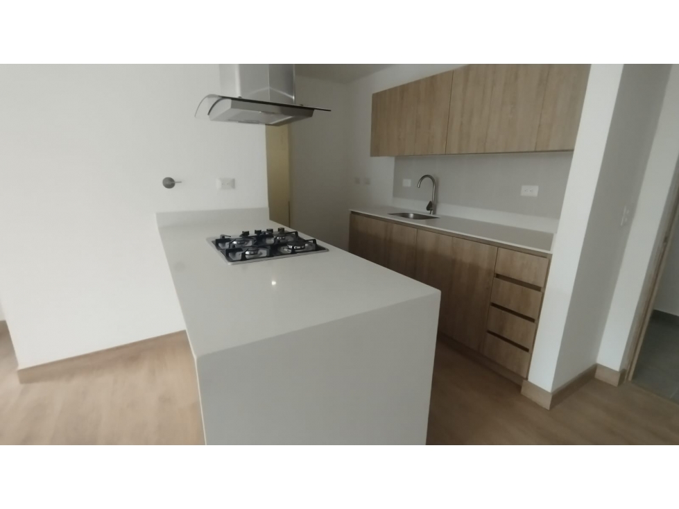 1BR Apartment in Centro (50 m²)