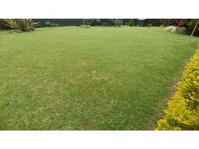 Casa de 4 alcobas en arriendo en Guayaquil, Guarne, 300 m² · foto 4 de 24