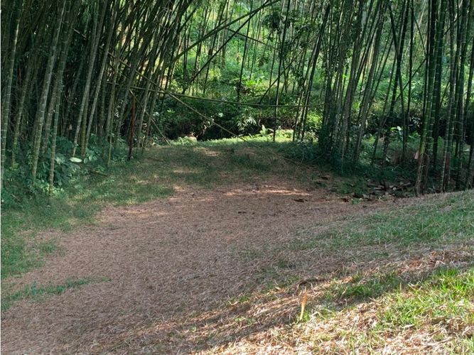Lote en venta en Cerritos, Pereira, 4775 m² · foto 18 de 24