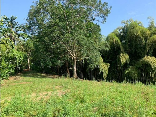 Lote en venta en Cerritos, Pereira, 4775 m² · foto 11 de 24
