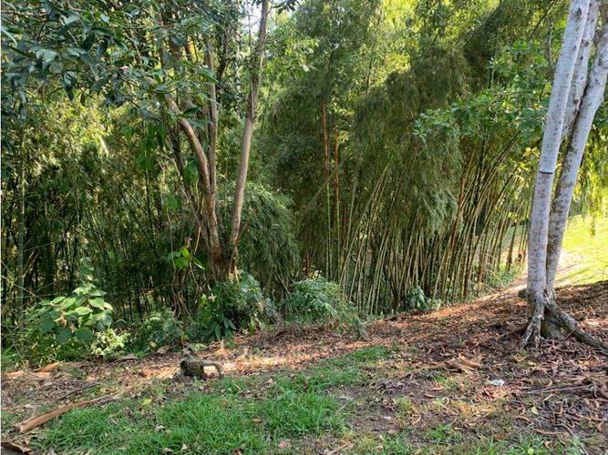 Lote en venta en Cerritos, Pereira, 4775 m² · foto 14 de 24