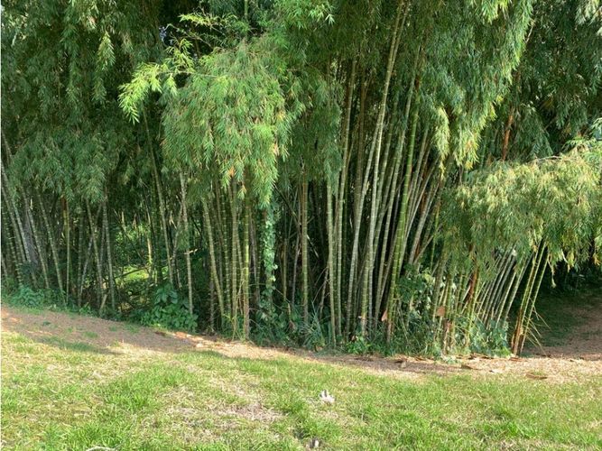 Lote en venta en Cerritos, Pereira, 4775 m² · foto 20 de 24