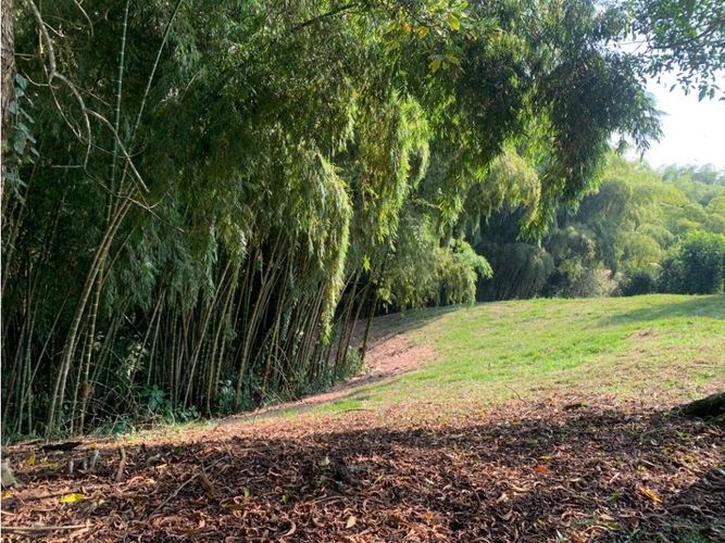 Lote en venta en Cerritos, Pereira, 4775 m² · foto 16 de 24