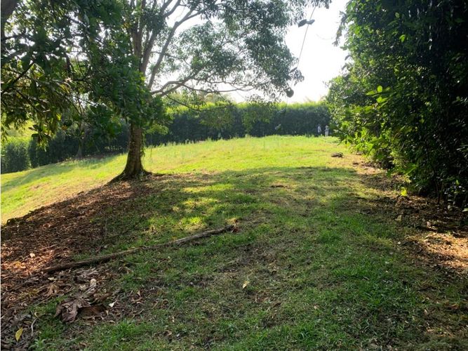 Lote en venta en Cerritos, Pereira, 4775 m² · foto 8 de 24
