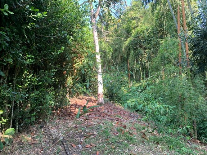 Lote en venta en Cerritos, Pereira, 4775 m² · foto 21 de 24