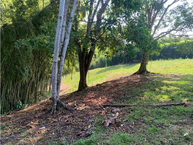 Lote en venta en Cerritos, Pereira, 4775 m² · foto 10 de 24