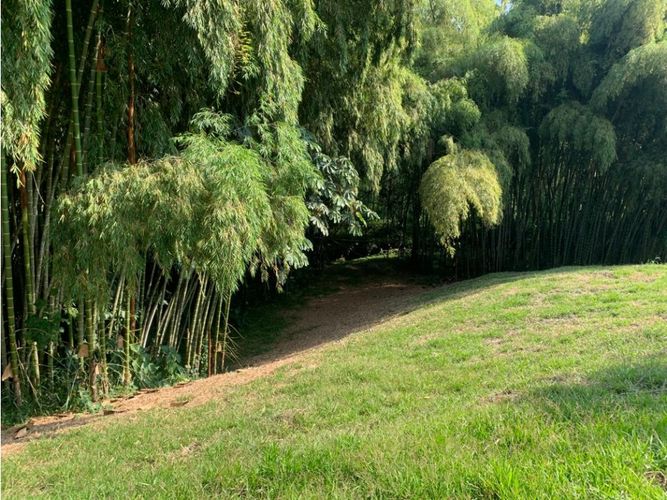 Lote en venta en Cerritos, Pereira, 4775 m² · foto 15 de 24