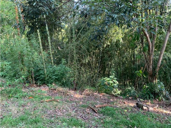 Lote en venta en Cerritos, Pereira, 4775 m² · foto 17 de 24