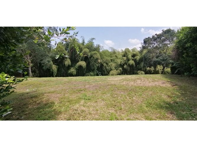 Lote en venta en Cerritos, Pereira, 4775 m² · foto 6 de 24