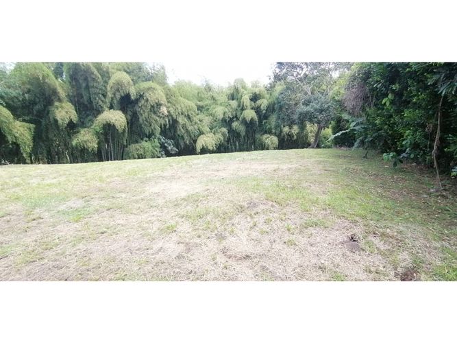 Lote en venta en Cerritos, Pereira, 4775 m² · foto 2 de 24