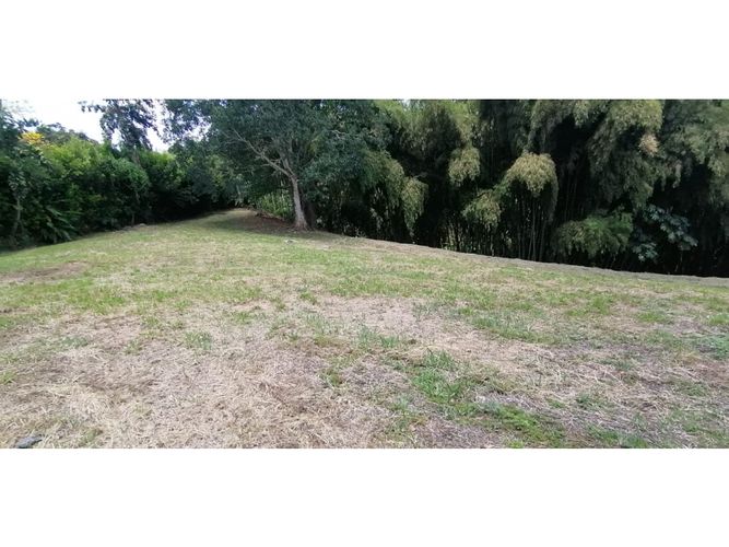 Lote en venta en Cerritos, Pereira, 4775 m² · foto 9 de 24