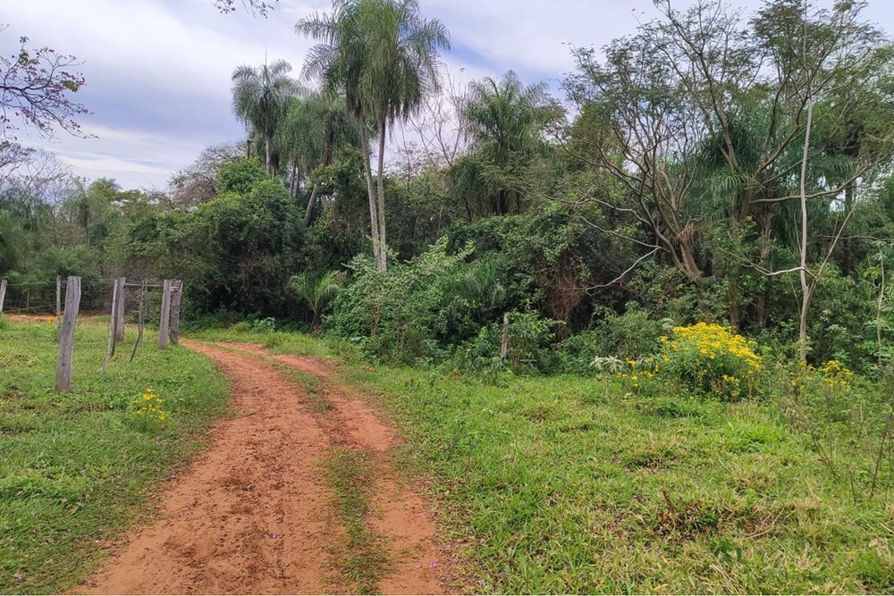 Granja de ganado-Venta-Juan Vicente Delgadillo, Yaguarón, Paraguarí — foto 2