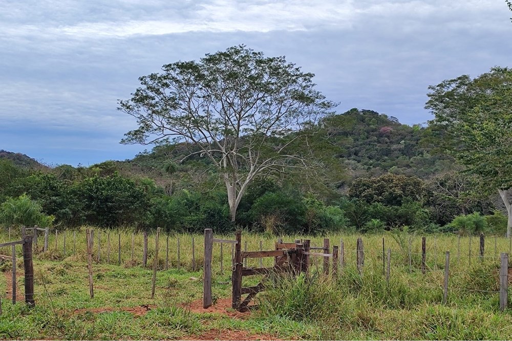 Granja de ganado-Venta-Juan Vicente Delgadillo, Yaguarón, Paraguarí — foto 3