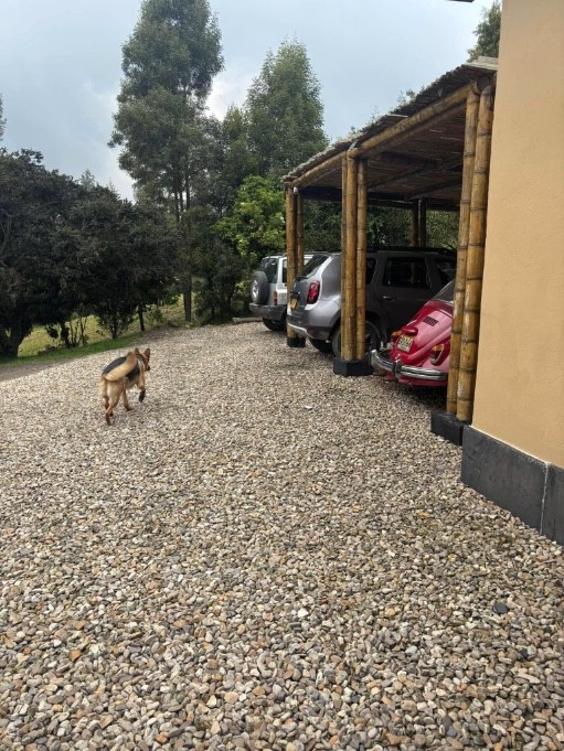 Casa en venta en El Hato, La Calera · foto 3 de 24