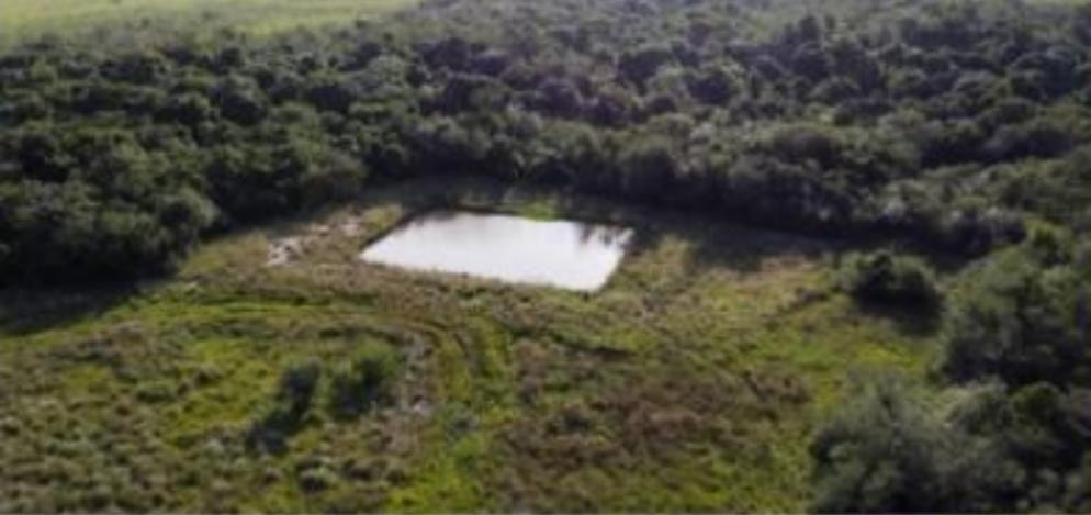 Vendo Campo Ganadero de 370 hectareas a Tranquera Cerrada, Dpto de Cordillera. COD 002 — foto 2