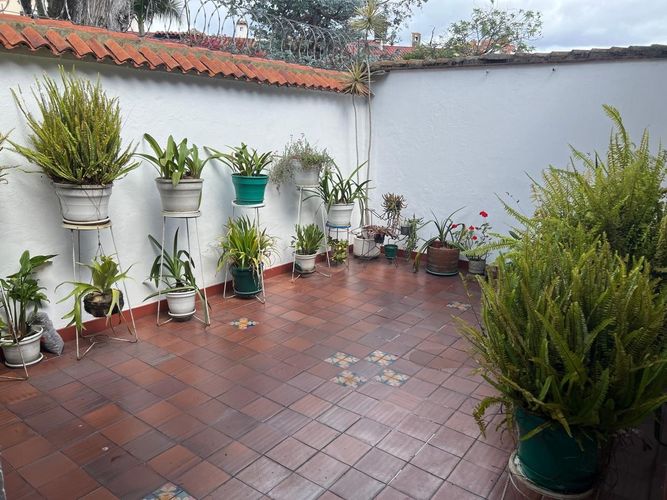 Casa de 3 alcobas en arriendo en La Floresta, Bogotá, 250 m² · foto 15 de 24