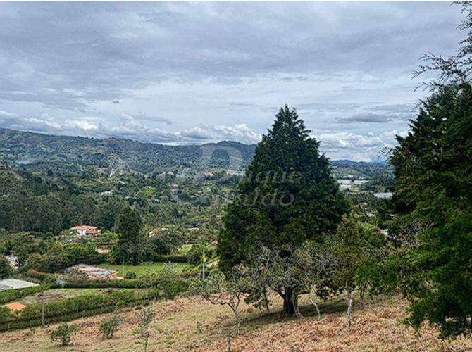 Lote en venta en San Jose, Guarne, 10000 m² · foto 3 de 4