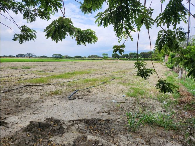 Lote en venta en Rozo, Palmira, 85500 m² · foto 2 de 5