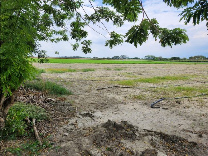 Lote en venta en Rozo, Palmira, 85500 m² · foto 4 de 5