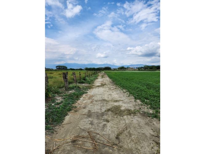 Lote en venta en Rozo, Palmira, 85500 m² · foto 5 de 5